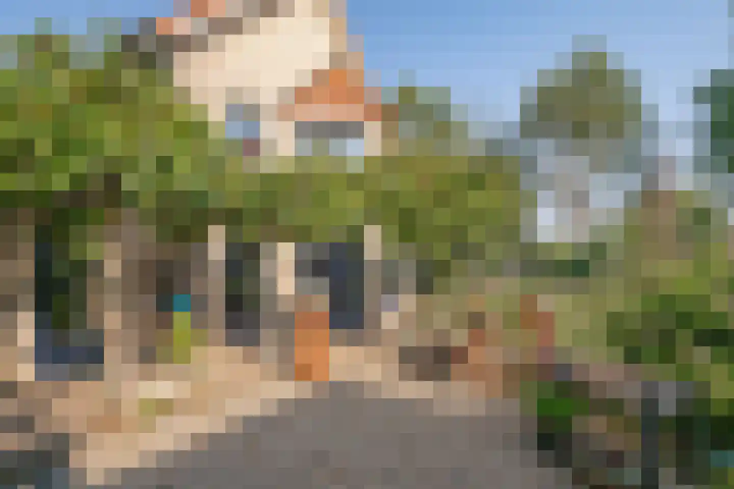Stellingmolen 84 Herten thumbnail 31