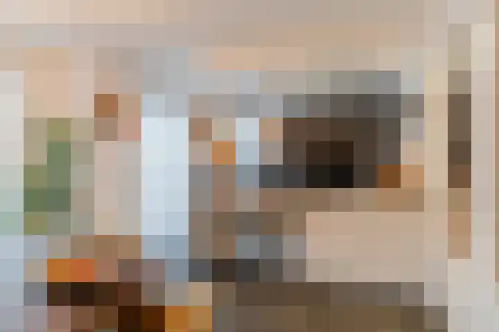 Stellingmolenstraat 11 Loon op Zand thumbnail 13