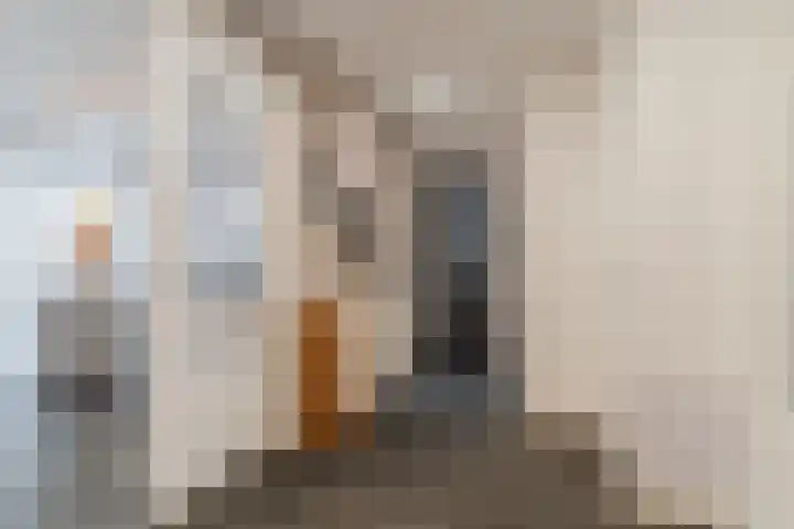 Stellingmolenstraat 11 Loon op Zand thumbnail 15