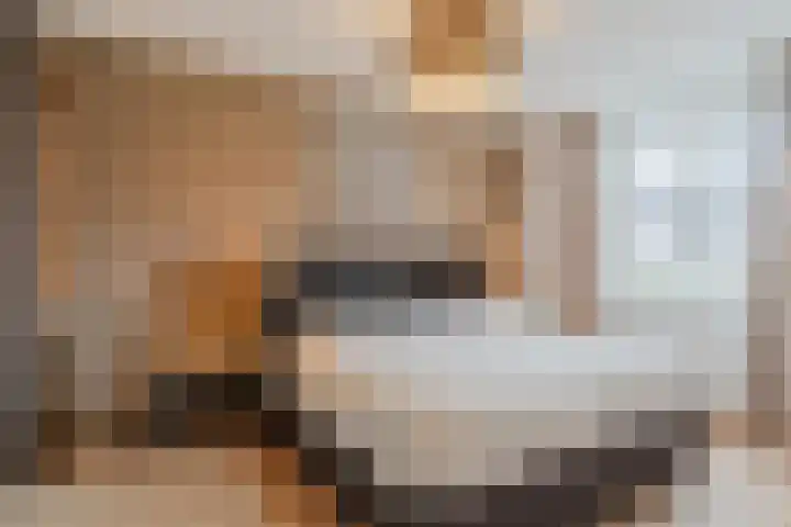 Stellingmolenstraat 11 Loon op Zand thumbnail 19