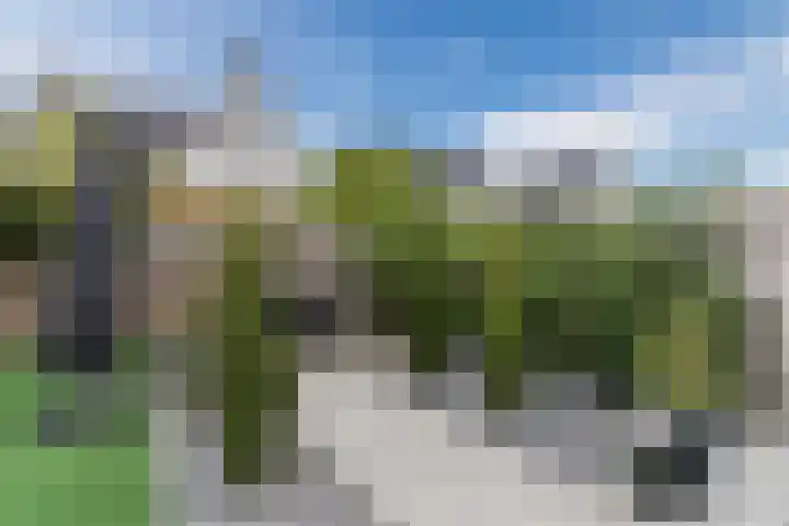 Stellingmolenstraat 11 Loon op Zand thumbnail 40