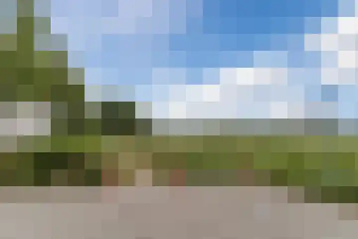 Stellingmolenstraat 11 Loon op Zand thumbnail 45