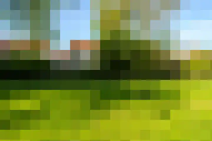 Stellingmolenstraat 113 Almere thumbnail 25