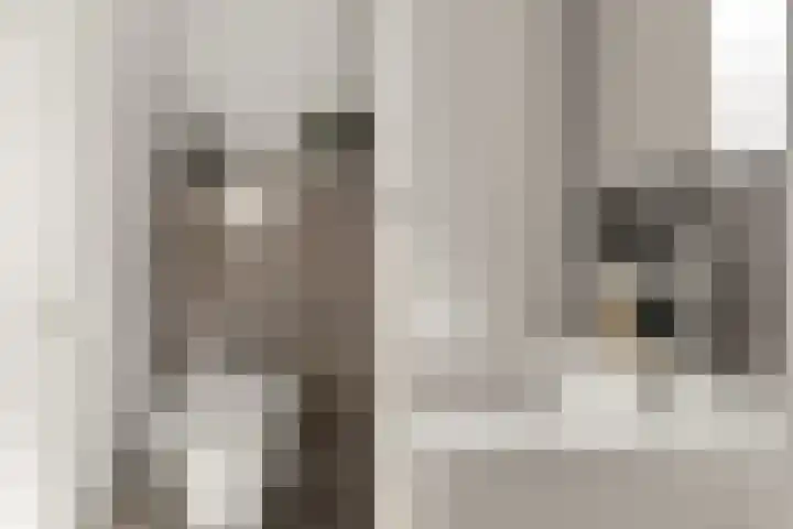 Stellingmolenstraat 36 Almere thumbnail 35