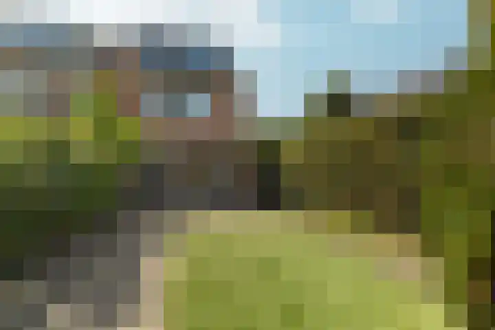 Stellingmolenstraat 36 Almere thumbnail 50