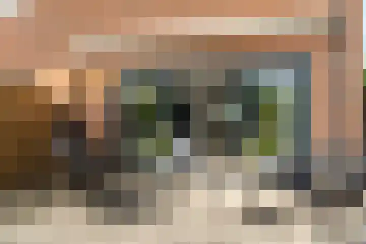 Stellingmolenstraat 36 Almere thumbnail 52