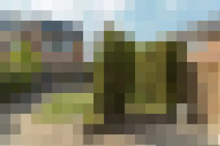 Stellingmolenstraat 36 Almere thumbnail 53