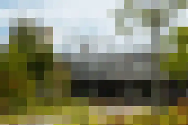 Stellingmolenstraat 36 Almere thumbnail 66
