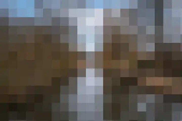 Stellingmolenstraat 81 Almere thumbnail 50