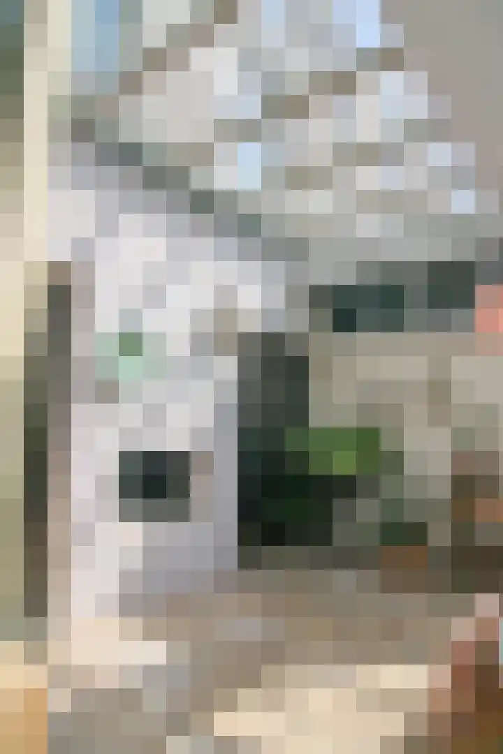 Stellingmolenstraat 90 Almere thumbnail 15