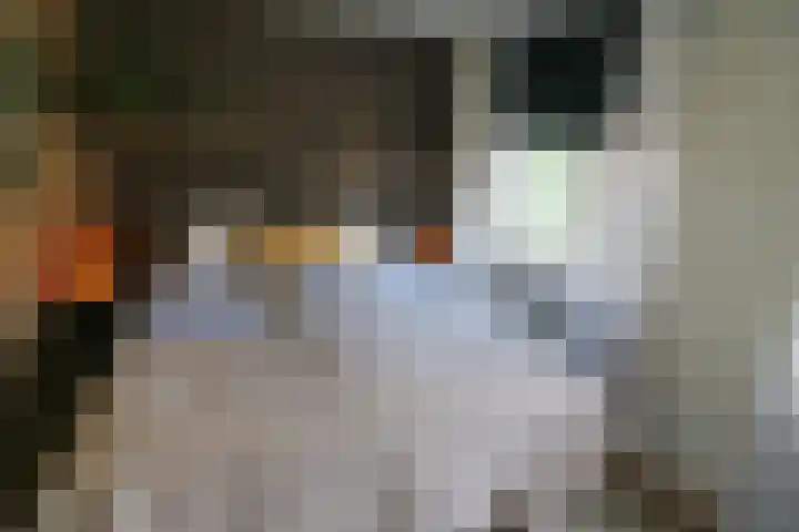 Stellingmolenstraat 90 Almere thumbnail 29