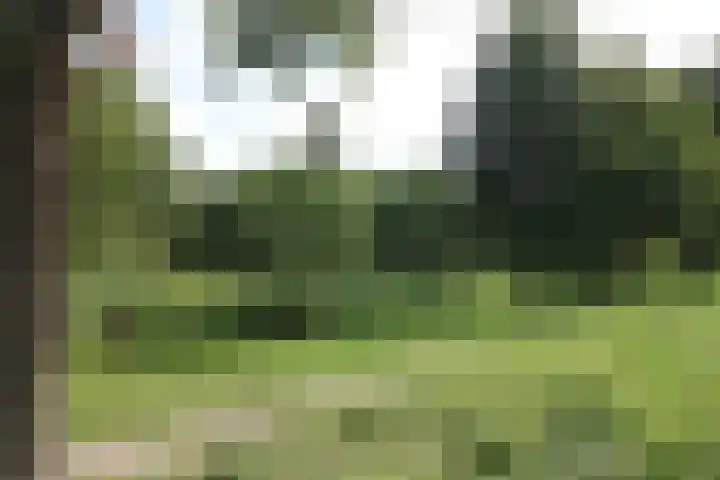 Stellingmolenstraat 90 Almere thumbnail 43