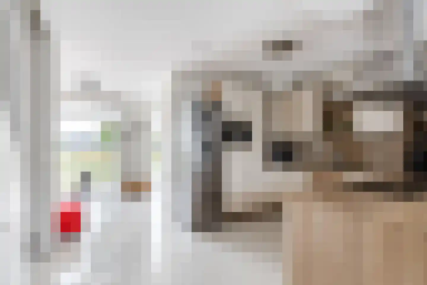 Stellingsteek 1 Almere thumbnail 12