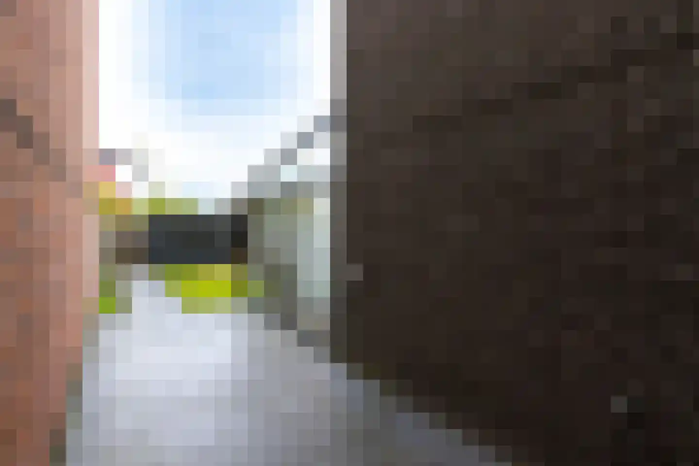 Stellingsteek 1 Almere thumbnail 141