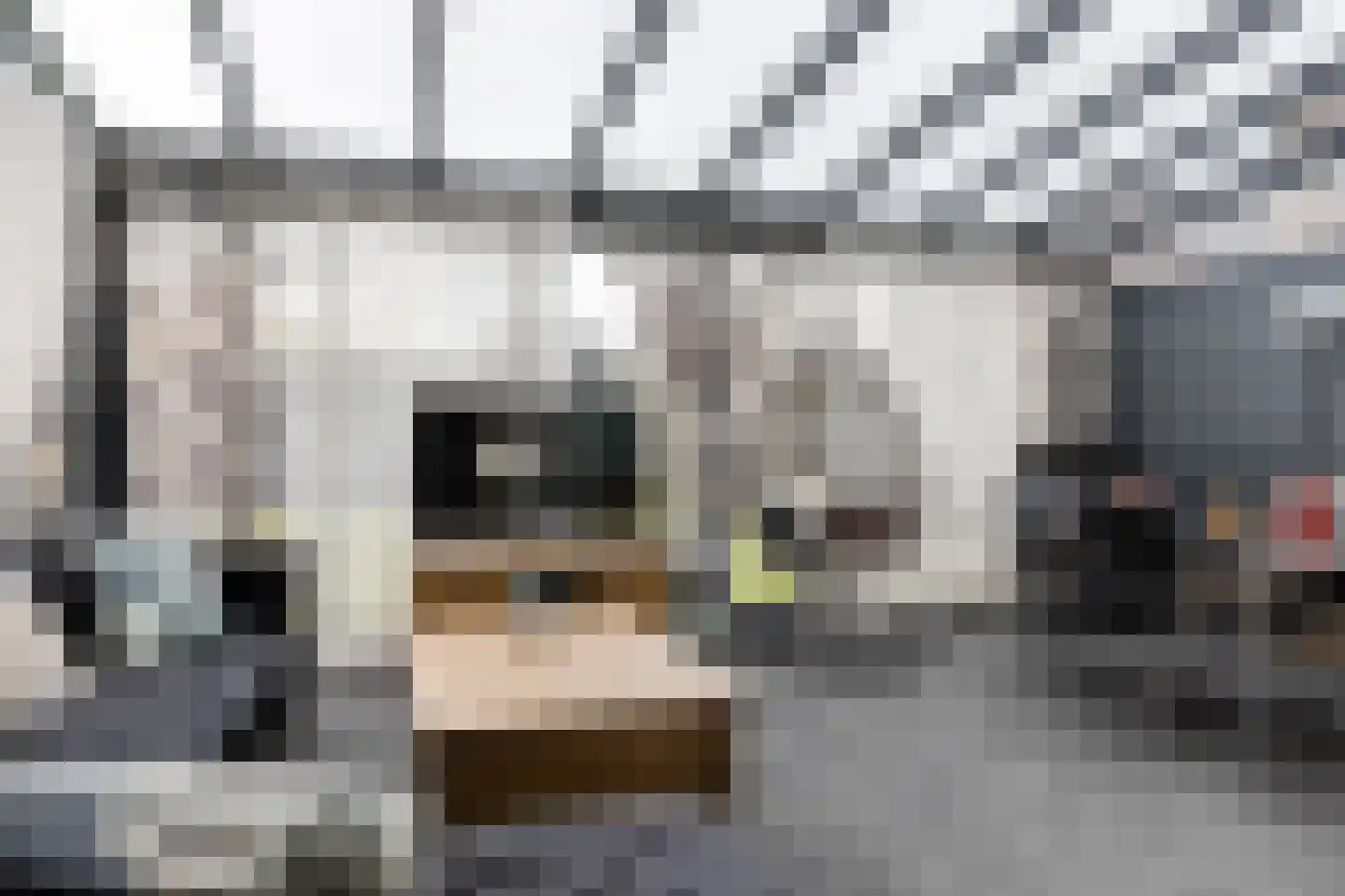 Stellingsteek 1 Almere thumbnail 63