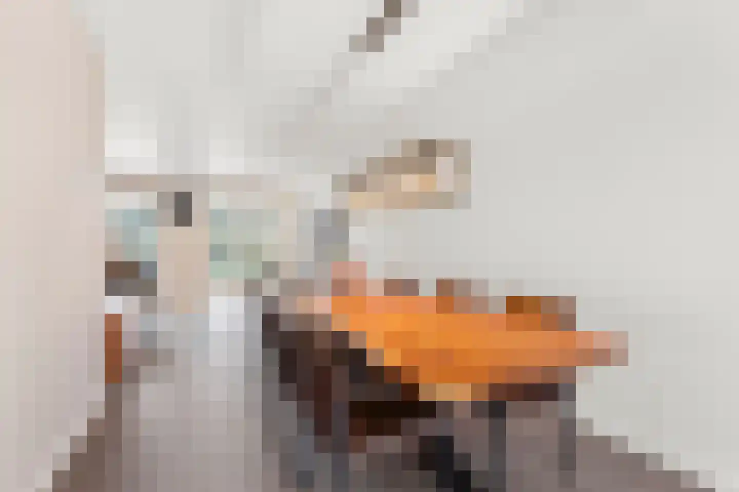 Stellingsteek 4 Almere thumbnail 14