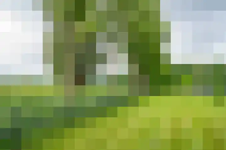 Stellingweg 1 Hengelo (Gld) thumbnail 51