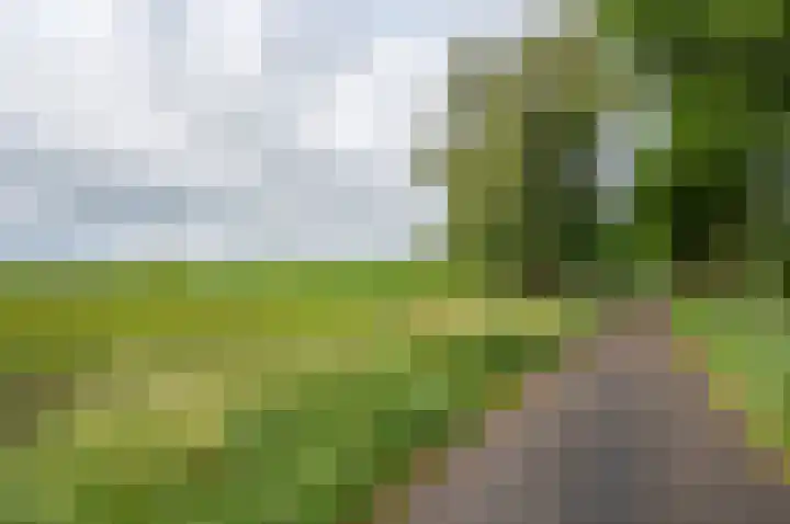 Stellingweg 1 Hengelo (Gld) thumbnail 57