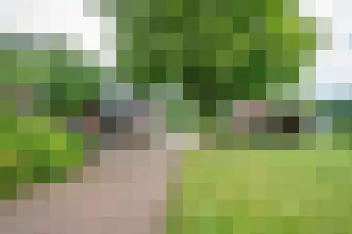 Stellingweg 1 Hengelo (Gld) thumbnail 7