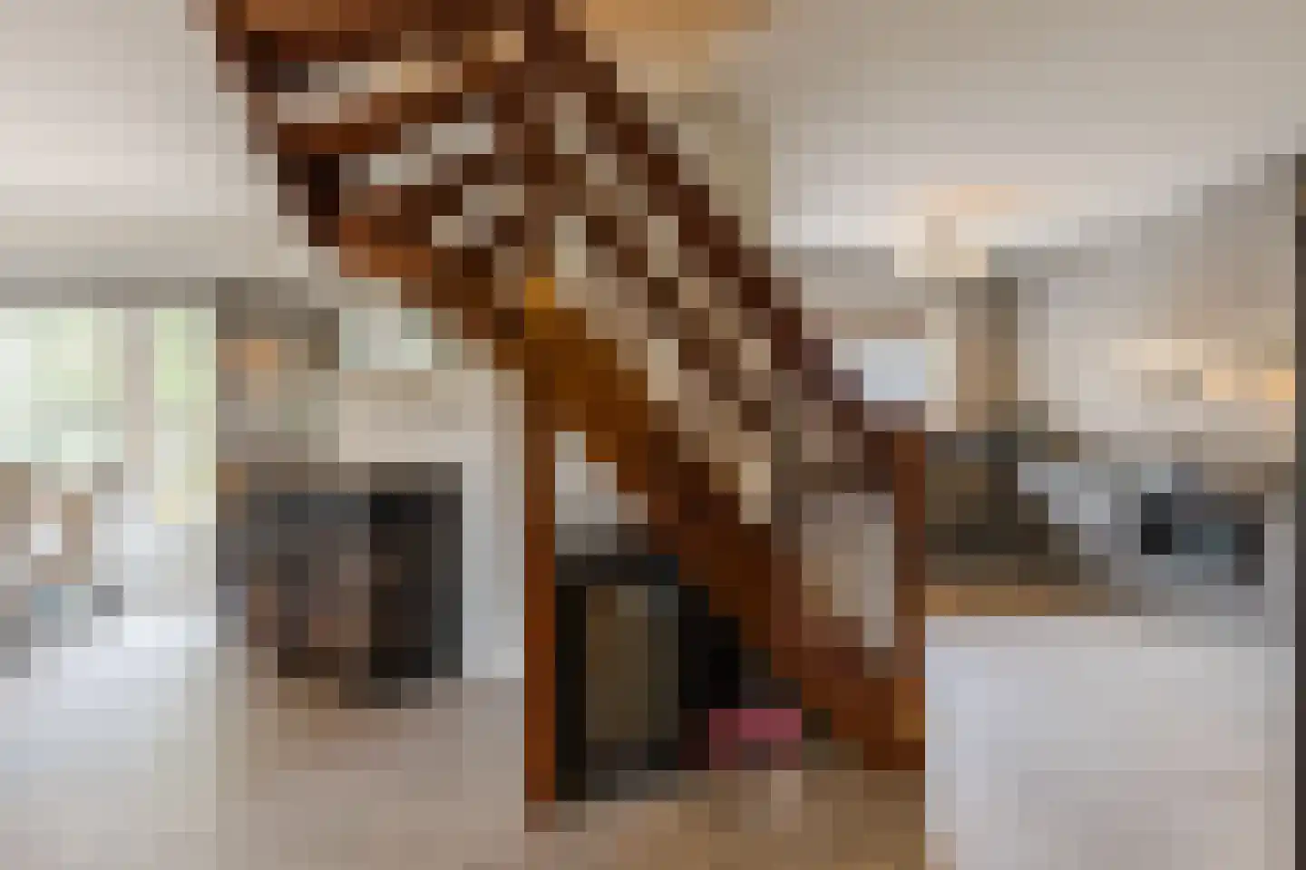 Stellingweg 208 Amsterdam thumbnail 18