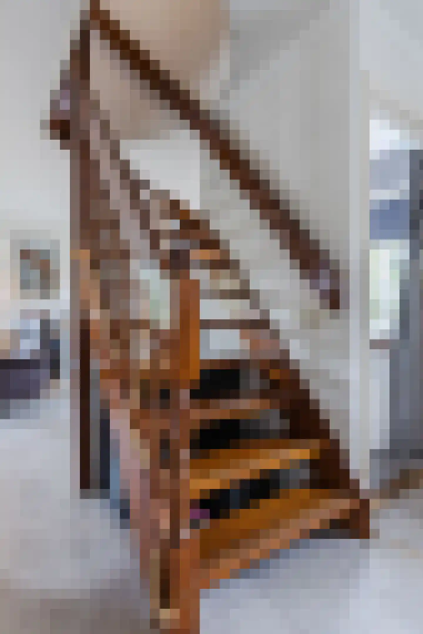 Stellingweg 208 Amsterdam thumbnail 31