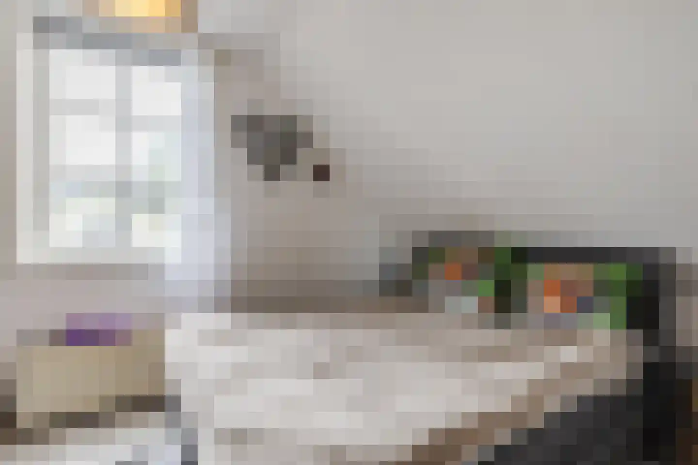Stellingweg 208 Amsterdam thumbnail 36