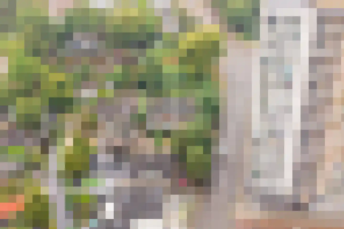 Stellingweg 208 Amsterdam thumbnail 65