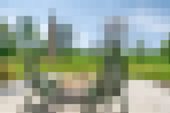 Stellingweg 4 Hengelo (Gld) thumbnail 32