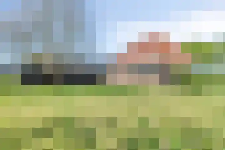 Stellingweg 4 Hengelo (Gld) thumbnail 33
