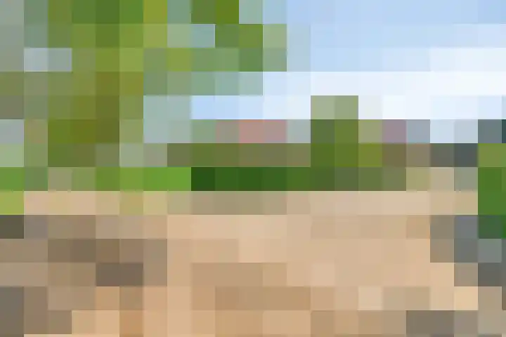 Stellingweg 4 Hengelo (Gld) thumbnail 4