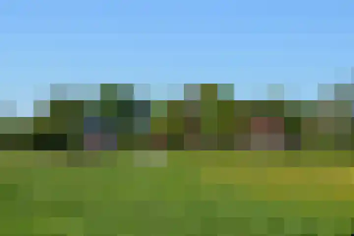 Stellingweg 4 Hengelo (Gld) thumbnail 48