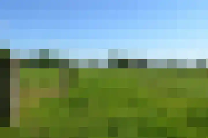 Stellingweg 4 Hengelo (Gld) thumbnail 49