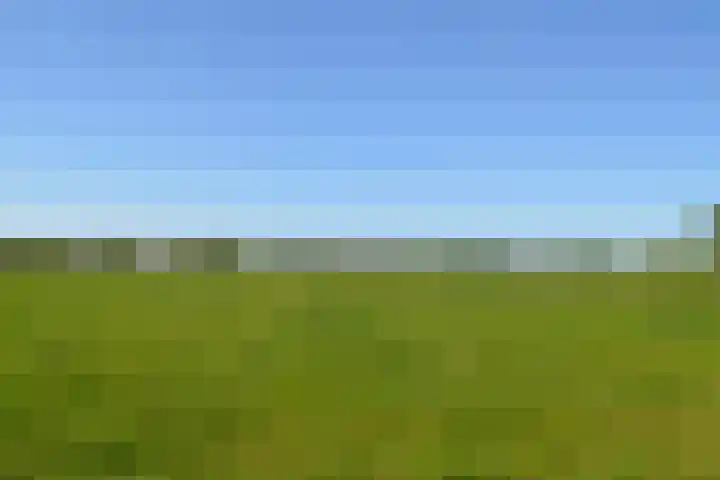 Stellingweg 4 Hengelo (Gld) thumbnail 50