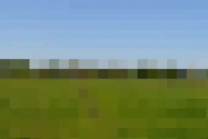 Stellingweg 4 Hengelo (Gld) thumbnail 51