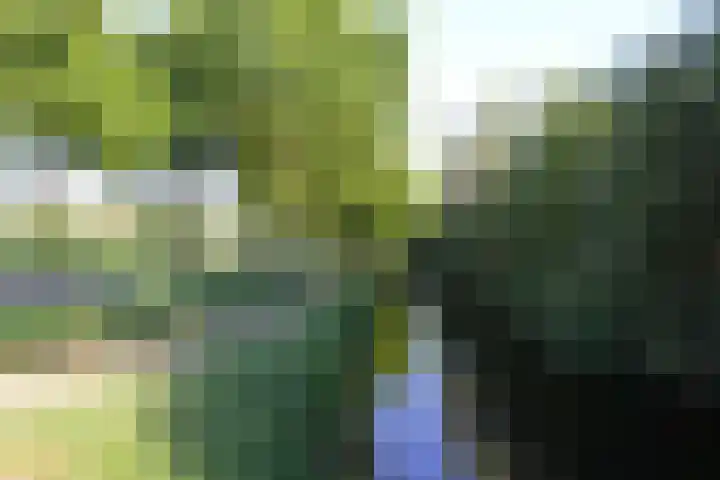 Stellingweg 4 Hengelo (Gld) thumbnail 52