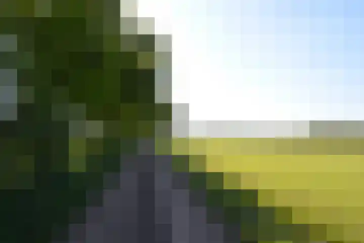 Stellingweg 4 Hengelo (Gld) thumbnail 53