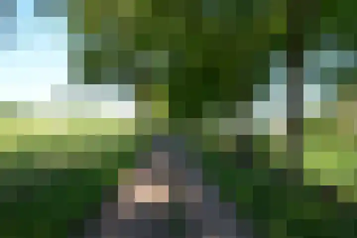 Stellingweg 4 Hengelo (Gld) thumbnail 54
