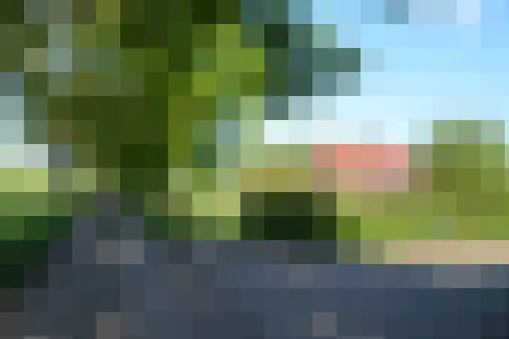 Stellingweg 4 Hengelo (Gld) thumbnail 55