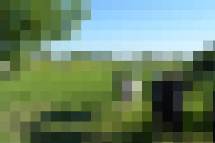 Stellingweg 4 Hengelo (Gld) thumbnail 61