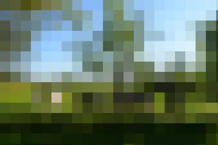 Stellingweg 4 Hengelo (Gld) thumbnail 62
