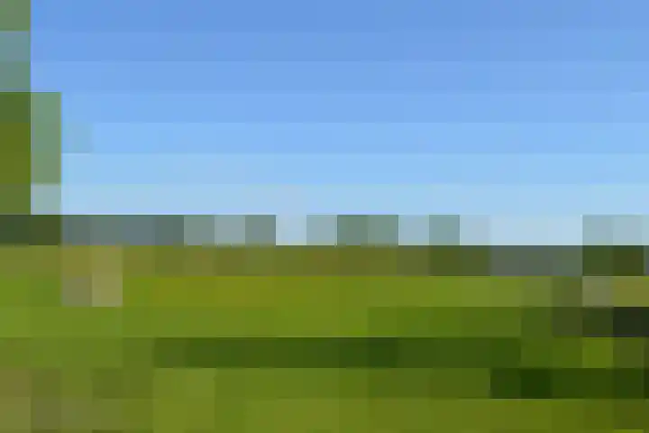 Stellingweg 4 Hengelo (Gld) thumbnail 64