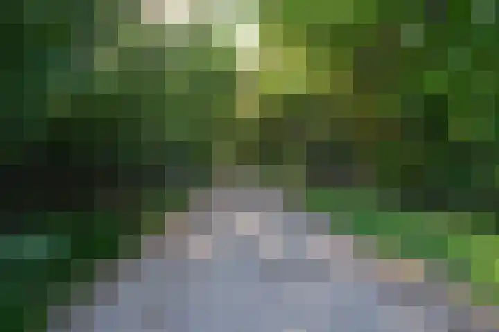 Stellingweg 4 Hengelo (Gld) thumbnail 65