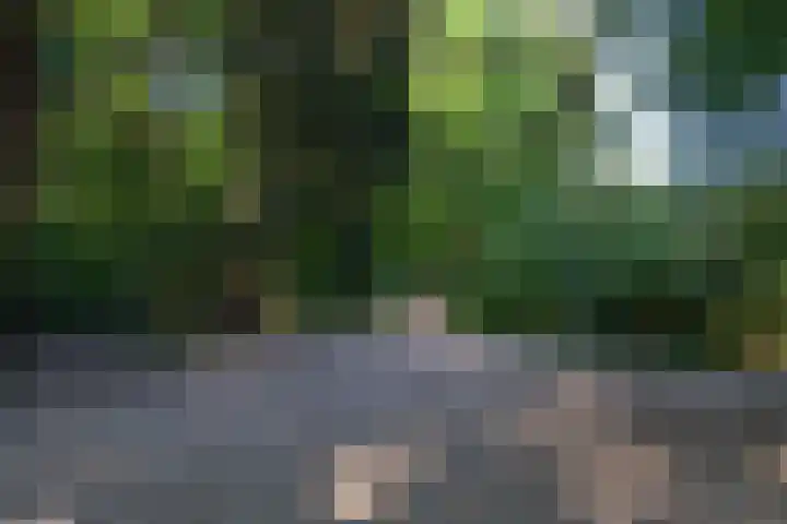 Stellingweg 4 Hengelo (Gld) thumbnail 66