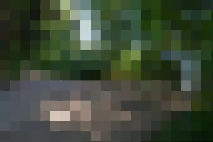 Stellingweg 4 Hengelo (Gld) thumbnail 67