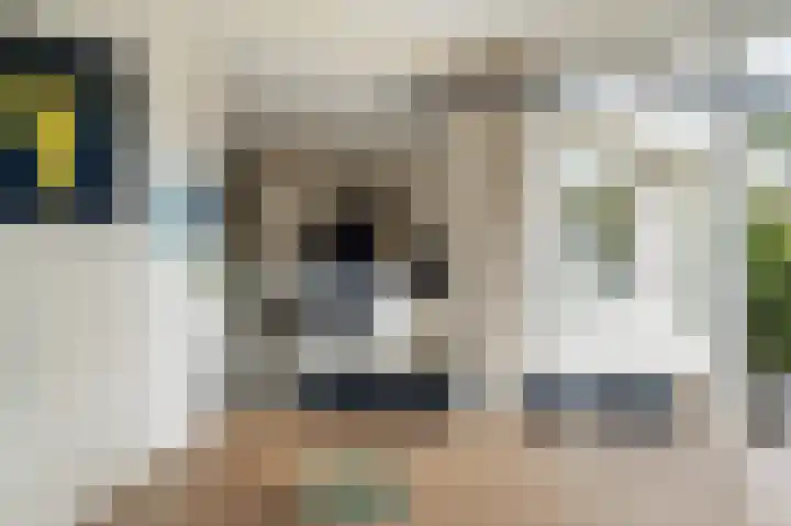 Stellingwerf 11 Emmeloord thumbnail 19