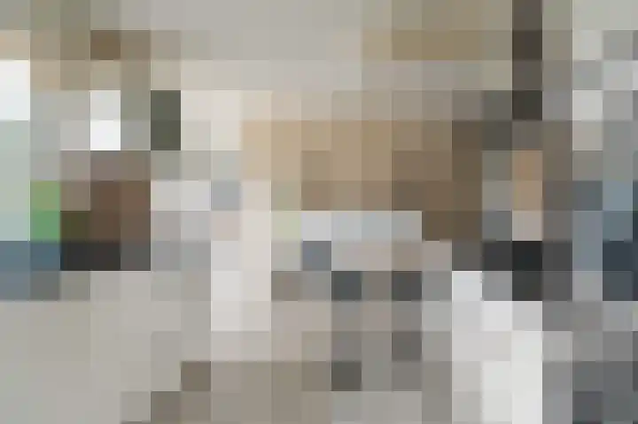 Stellingwerf 11 Emmeloord thumbnail 26