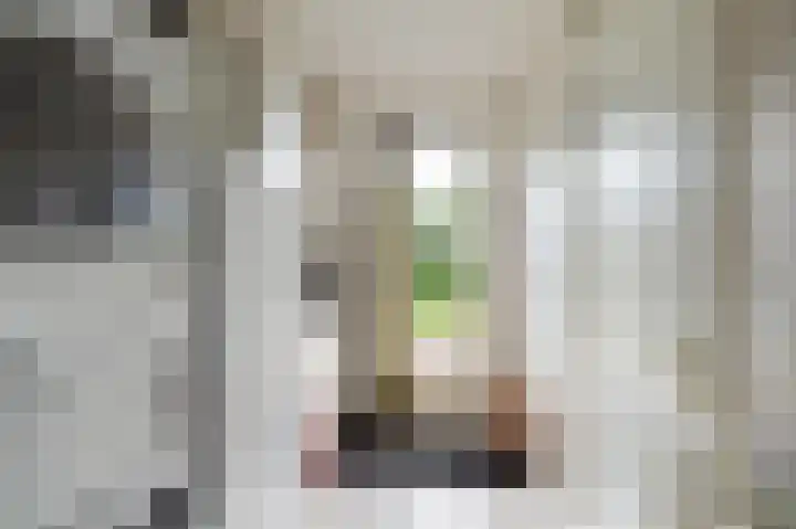 Stellingwerf 11 Emmeloord thumbnail 27