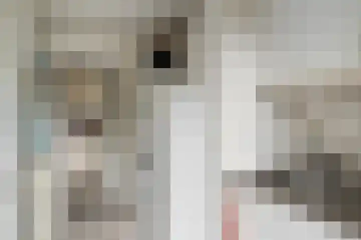 Stellingwerf 11 Emmeloord thumbnail 28