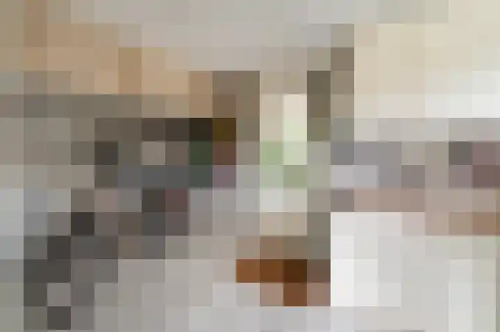Stellingwerf 11 Emmeloord thumbnail 29