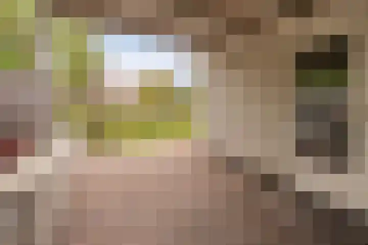 Stellingwerf 11 Emmeloord thumbnail 32